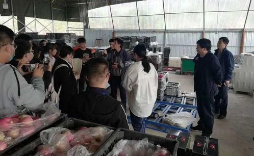 校地合作謀振興 河北科技大學電商專業與李保國干部學院共促漿水蘋果產業升級